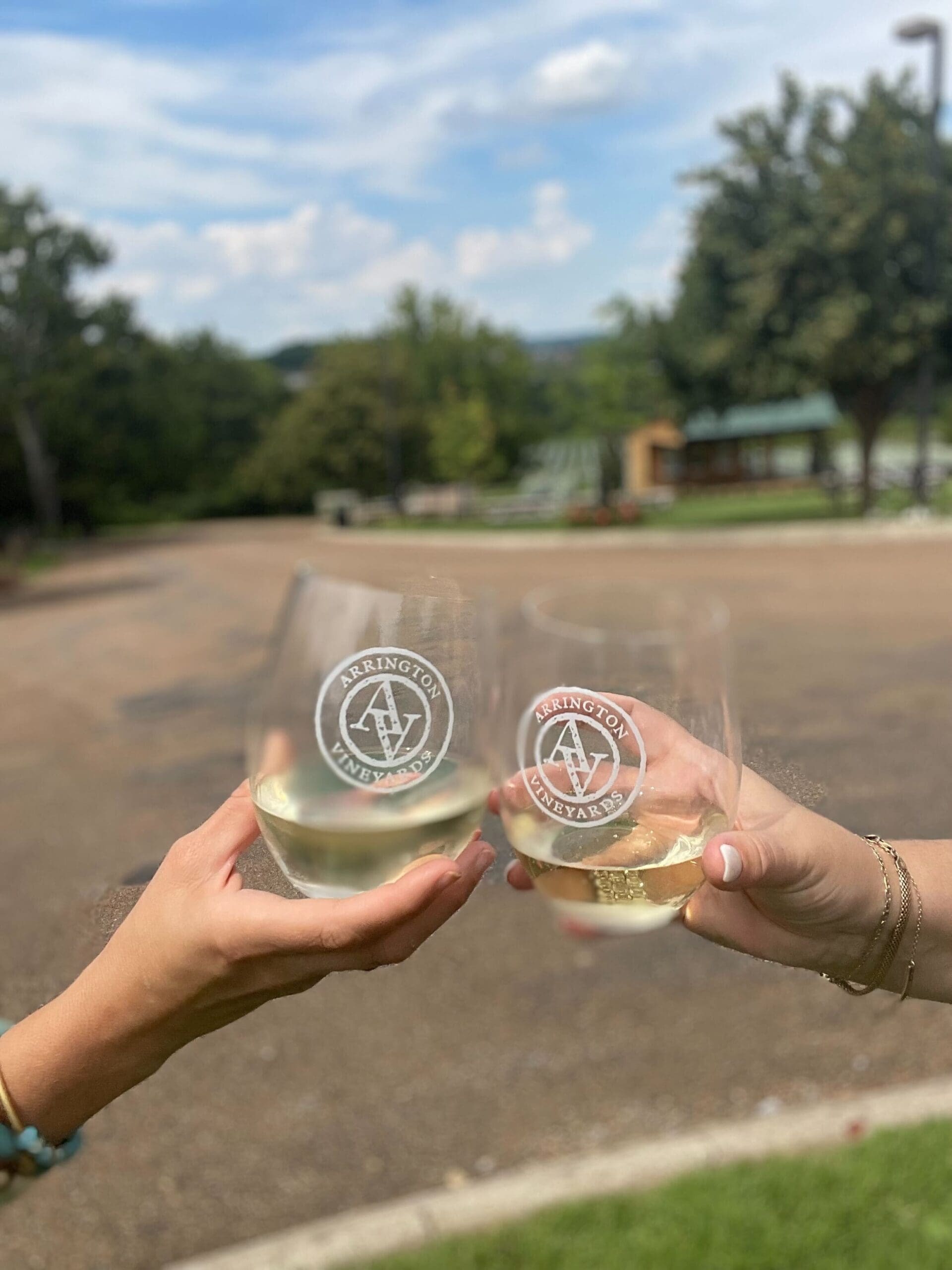 Williamson County Networking Happy Hour at the Vines TN Women